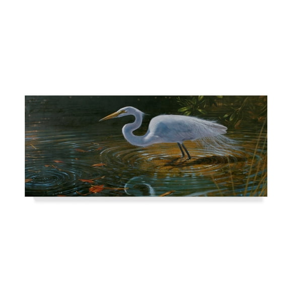 16 x 24 ArtWall Kilians Egret Taking Flight Removable Wall Art Mural 16 x 24 ArtWall Kilians Egret Taking Flight Removable Wall Art Mural